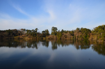 Fototapeta na wymiar 放射上に浮かんだ雲が、池の水面に映り込んでいる風景
