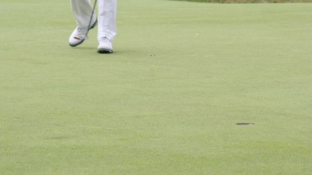Professional golfer putting golf ball to hole on green golf course on hills in open tournament competition. 