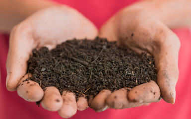 Close up hand  holding fertilizer compost in hand, Selective focus.