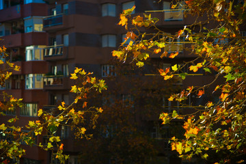 Tourists destination Barcelona, Spain. Barcelona is known as an Artistic city located in the east coast of Spain..