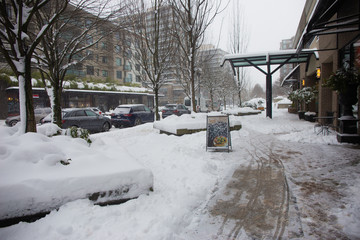 Fototapeta premium North Vancouver, January