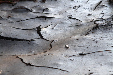 close up crack dry soil background in Thailand
