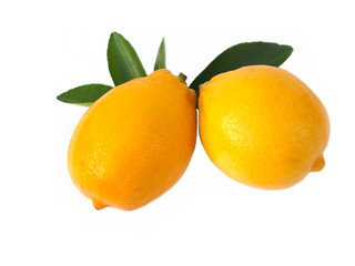 Fresh Lemon fruits with green leaf on white background.