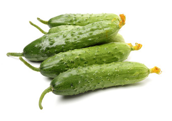 Green cucumber on the white background