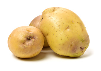 New potato isolated on white background 
