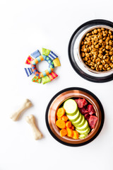 Dog feed - dry food and raw meat - near toy and cheving bones on white background top view