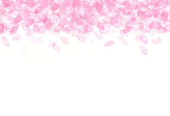 Fototapeta na wymiar 桜の花びら　水彩イラスト