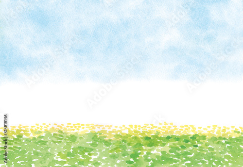 空と菜の花 水彩イラスト Wall Mural Wallpaper Murals Perori