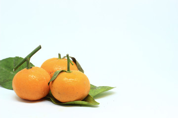 small orange photo with isolated white background