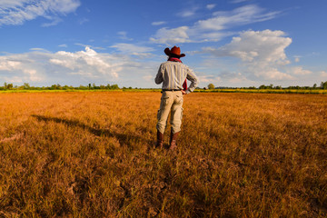 Cowboys and blue skies above the dry yellow fields.