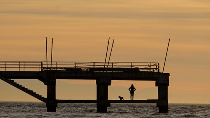 Fototapeta na wymiar Silhouettes of standing female body and a dog on the pier