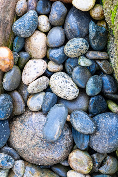Overhead shot of smooth river rocks