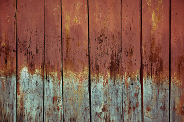 Fototapeta na wymiar Old wooden boards with peeling paint. Testura from old boards with blue and red paint. Copy space, wooden background