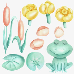 Set of frog plants on the lake
