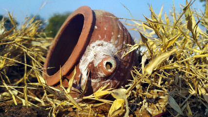 a red clay pot put in dry grass