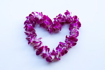 Hawaiian lei, a wreath of orchid flowers, isolated on a white background. 