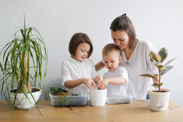 Mom with two children transplant plant in new pot