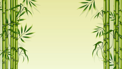 Bamboo background. Green floral illustration for business advertising. Natural banner to insert text. Vector illustration
