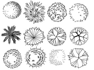 top view set graphic trees.for architecture and landscape design. for layout of the garden.	