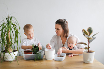 Mom with two two children transplant plant in pot