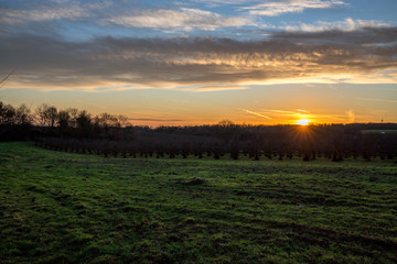 Sonnenaufgang über den Feldern