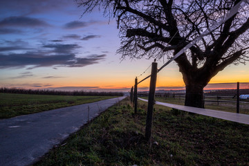 Sonnenaufgang über den Feldern