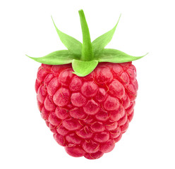 Ripe raspberry with green leaves isolated on white. Raspberry Clipping Path.
