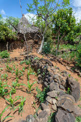 Fantastic walled village tribes Konso. African village. Africa, Ethiopia. Konso villages are listed as UNESCO World Heritage sites.