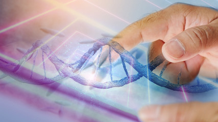 DNA structure interface. DNA strands