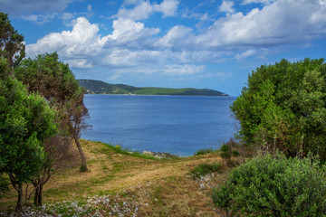 Beautiful landscape – forest – trees with green foliage, dry grass and foot path, sea, mountains on the horizon, blue sky and white clouds. Corfu Island, Greece