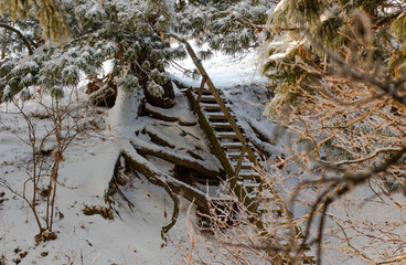 stairs in the snow