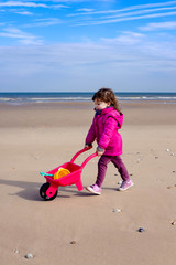 cute little girl playing on the beach in autumn or spring