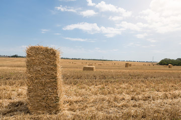 Fototapeta premium bales of yellow straw are scattered across the field, agricultural landscape, one bale close-up and a blue sky with clouds