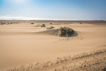 view of the Skeleton Coast desert dunes in Namibia in Africa. 