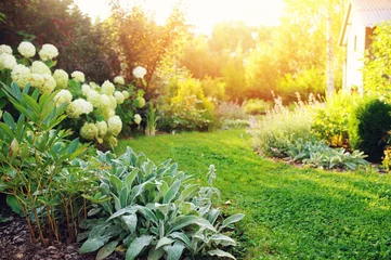 Papier Peint photo Jardin jardin privé d& 39 été avec hortensia en fleurs Annabelle. Bord de pelouse sinueux, beau sentier. Aménagement paysager dans le style cottage anglais.