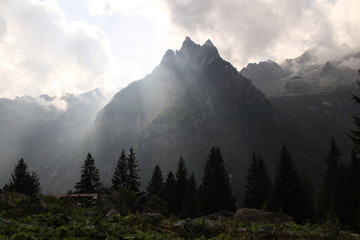 Imposante Alpenlandschaft; Punta Medaccio über dem Valle dei Bagni (Bernina-Alpen)