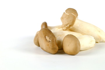 Pleurotus Eryngii (King Oyster Mushroom) is popular for cooking. Have a high nutritional value Can be used instead of meat Also has a pleasant aroma This type of mushroom has become very popular 