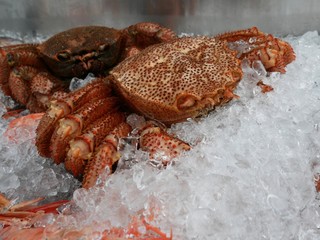 A large hairy crab is lying on crushed ice on the store counter. Healthy seafood is prepared for sale.
