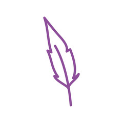 Fototapeta premium feather bird decorative isolated icon