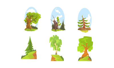 Deciduous and Coniferous Trees, Beautiful Summer Landscape Elements Vector Illustration