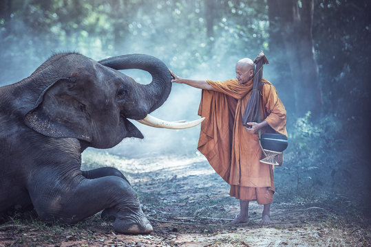 Thailand Buddhist Monks With Elephant Is Traditional Of Religion Buddhism On Faith Thai People