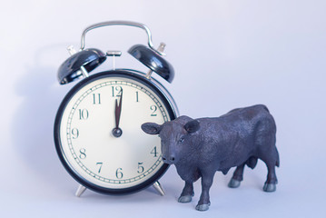 ox as a symbol of the new year 2021 on a blue background next to an alarm clock