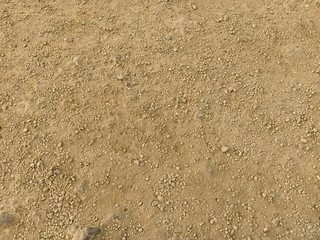 Granular golden-brown soil found in the dry land of Rajasthan.