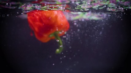 Red bell pepper falls into water. Slow motion. Black background. Food video - Powered by Adobe