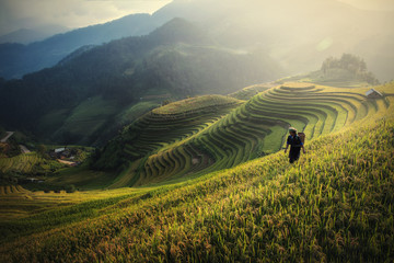 Rice fields on terraced of Mu Cang Chai, YenBai, Rice fields prepare the harvest at Northwest...