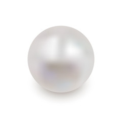 Shiny oyster pearl for luxury accessories. Realistic white pearl with shadow isolated on white background. Sphere shiny sea pearl. Beautiful natural white pearl. Shiny 3D jewel with light effects - obrazy, fototapety, plakaty