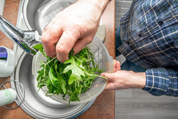 Washing greens under running water. The concept of cleaning plants from dirt, washing arugula. The man cleans the lettuce before serving to the salad.