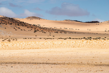 Fototapeta na wymiar desert landscape in Namibia