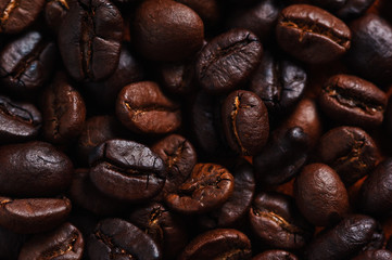 Close-up view of roasted coffee beans