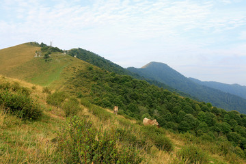 Obraz premium On the path to climb the summit of Mount San Primo, Italy.